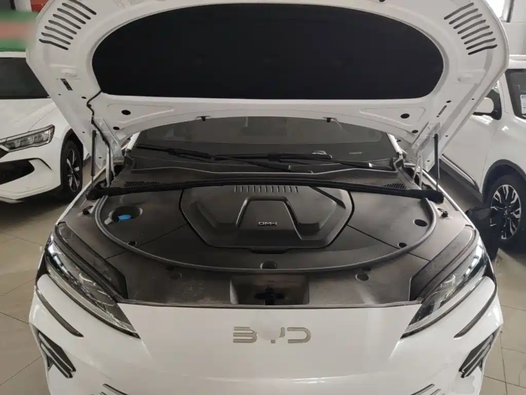 BYD PLUS New Energy 2025 — фото 20