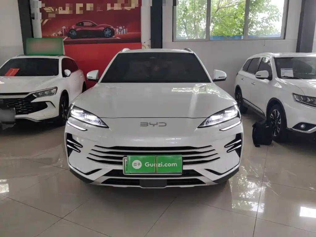 BYD PLUS New Energy 2025 — фото 3