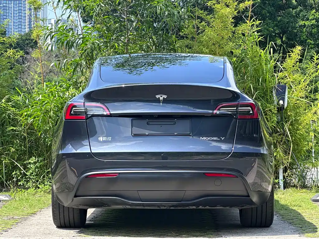 Tesla Model Y 2024 — фото 9