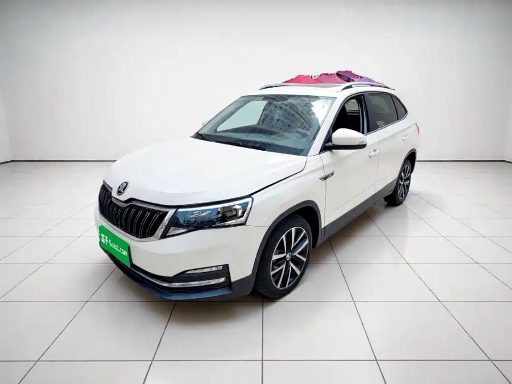 Skoda Kamiq 2019 — фото 25