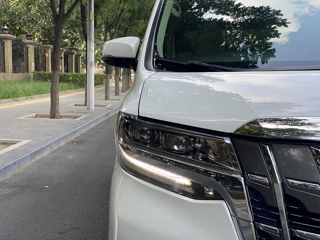 Toyota Alphard 2019 — фото 13