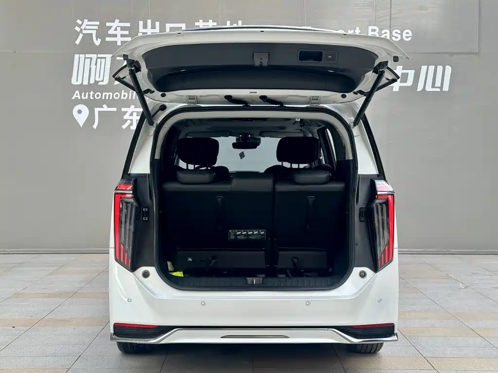 GAC Trumpchi E9 2024 — фото 16