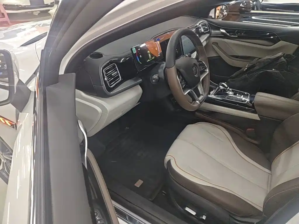 BYD Qin PLUS 2025 — фото 16