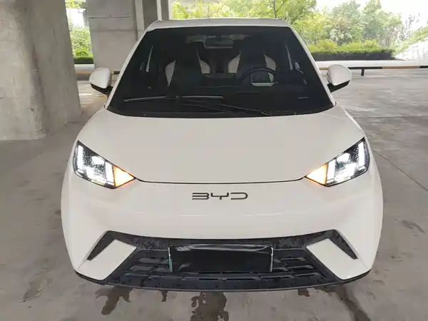 BYD Seagull 2024