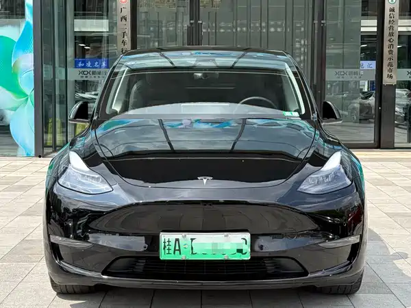 Tesla Model Y 2021