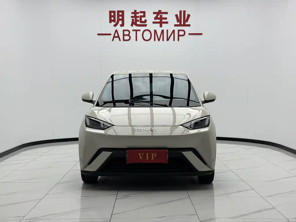 BYD Seagull 2024