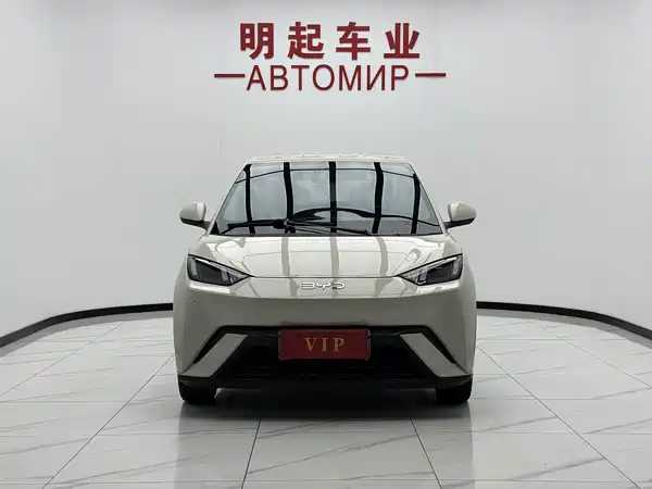 BYD Seagull 2024