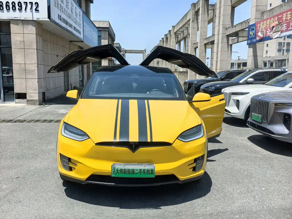 Tesla Model X 2019 — фото 2