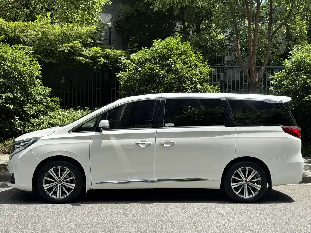 GAC Motor Trumpchi M8 2019 — фото 3