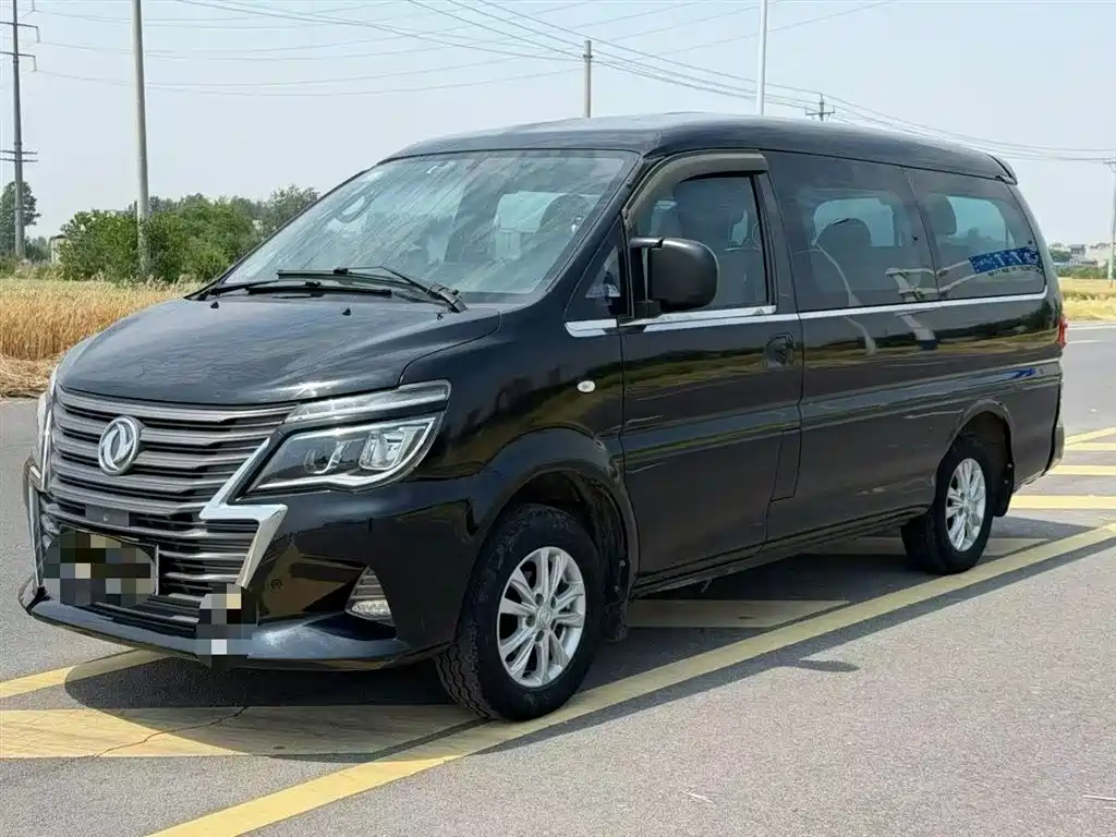 Fengxing Lingzhi 2020