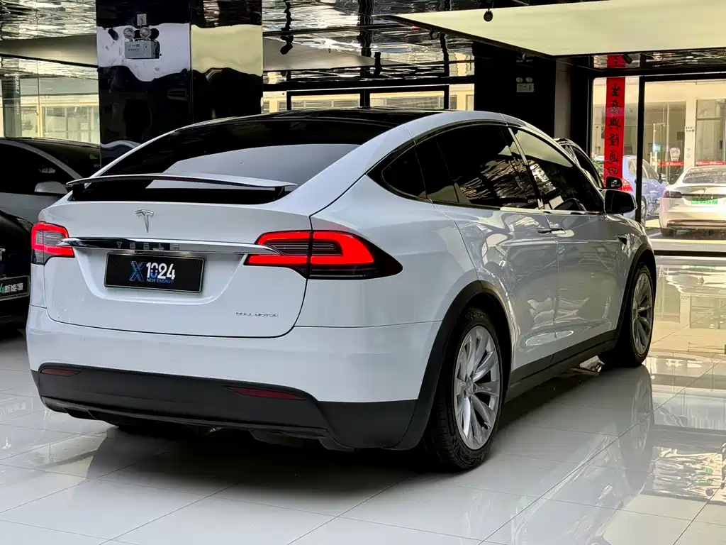 Tesla Model X 2019 — фото 13