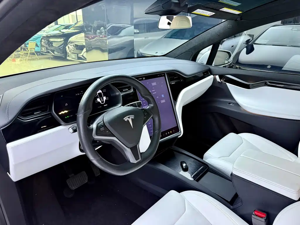 Tesla Model X 2019 — фото 5