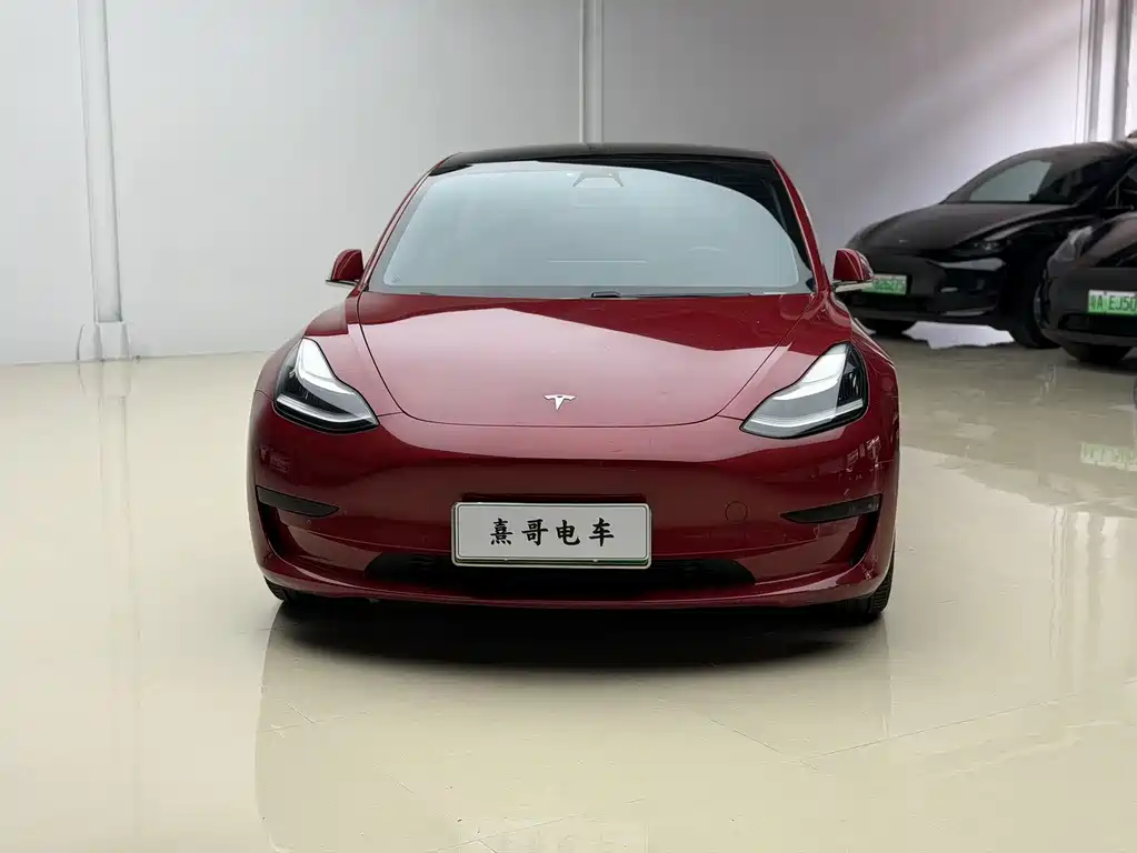 Tesla Model 3 2021 — фото 2