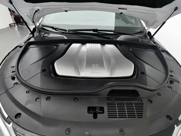 BYD Tang New Energy 2022