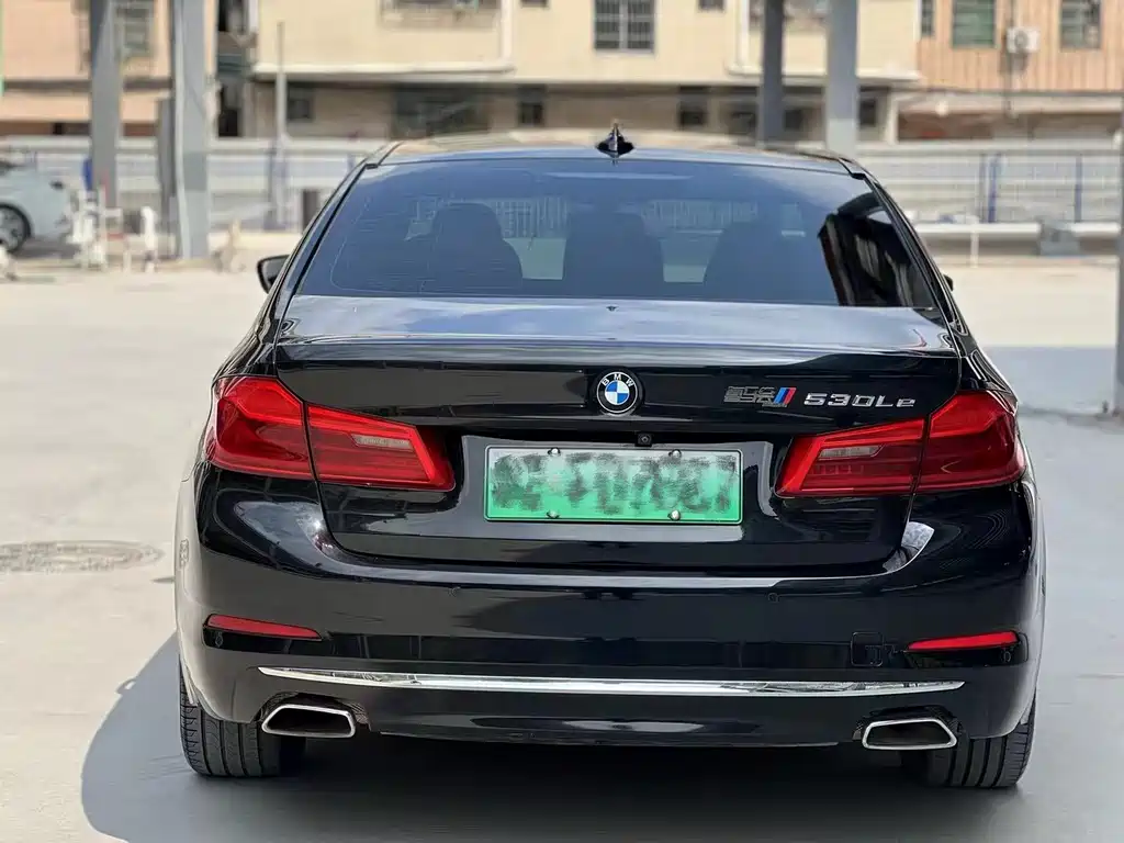 BMW 5 Series New Energy 2020