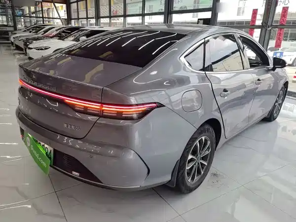 BYD Destroyer 05 2022