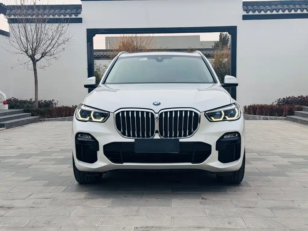 BMW X5 2019 — фото 2