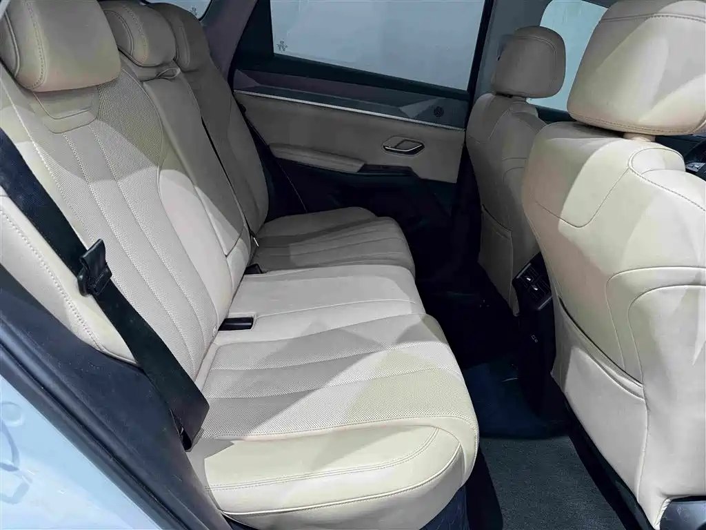 BYD Song Pro New Energy 2025 — фото 29