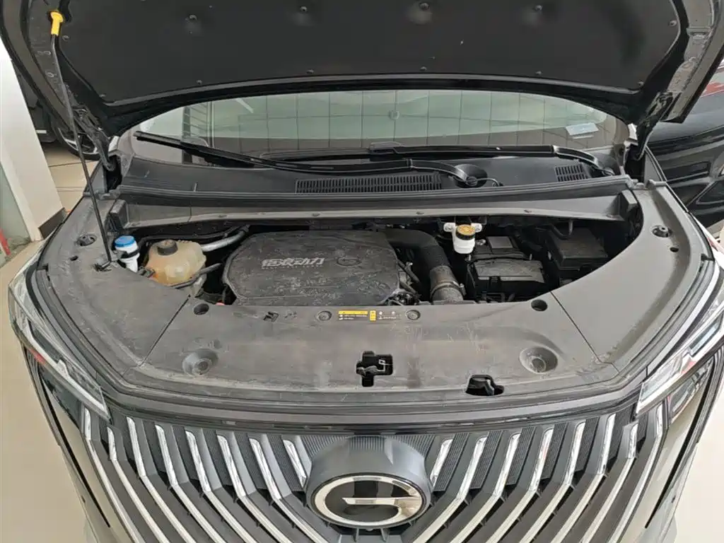 GAC Motor Trumpchi M8 2024 — фото 20
