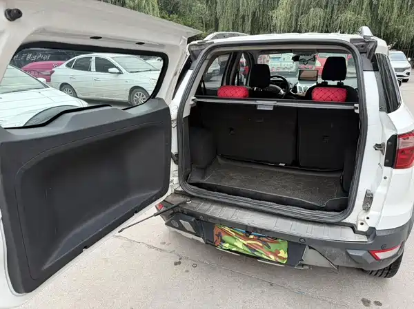 Ford EcoSport 2013