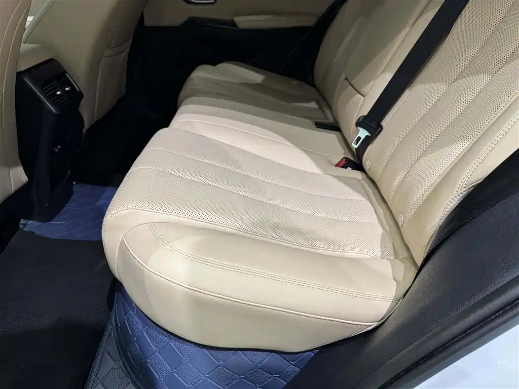 BYD Song Pro New Energy 2025 — фото 21