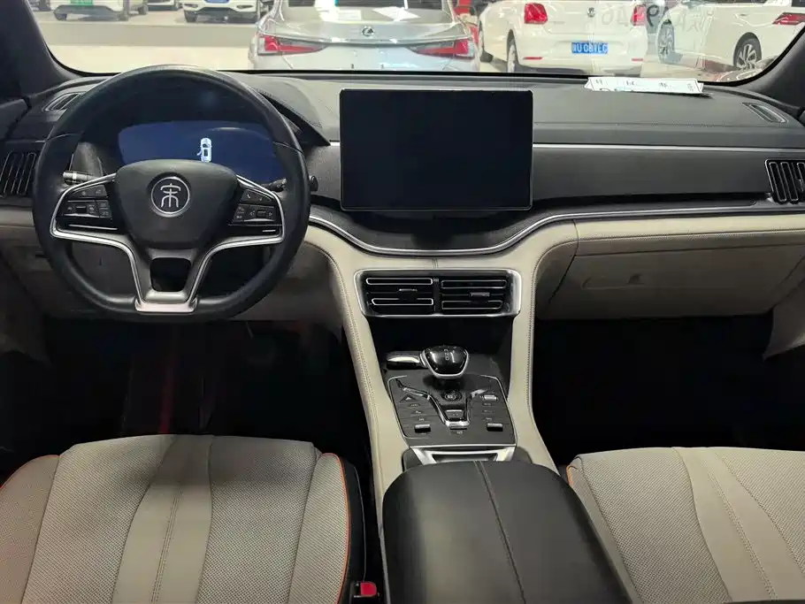 BYD PLUS New Energy 2023 — фото 12