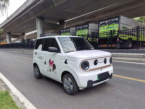 Geely Galaxy Panda 2025