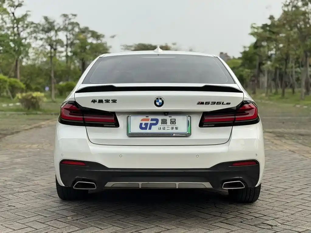 BMW 5 Series New Energy 2021