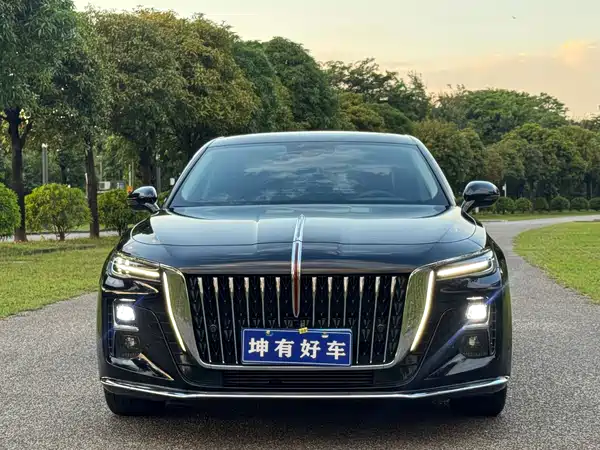Hongqi H5 2024