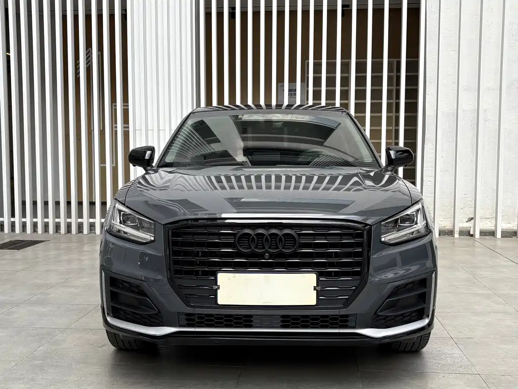 Audi Q2L 2019