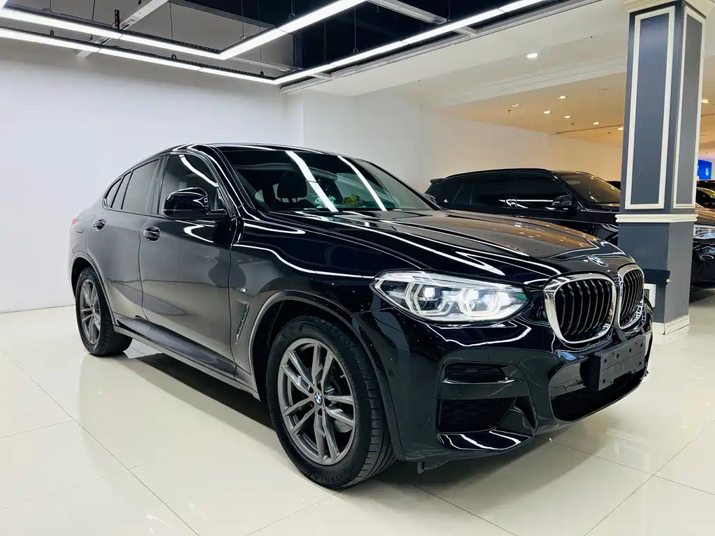 BMW X4 2019 — фото 5