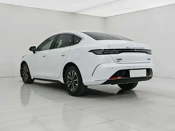 BYD Destroyer 05 2024