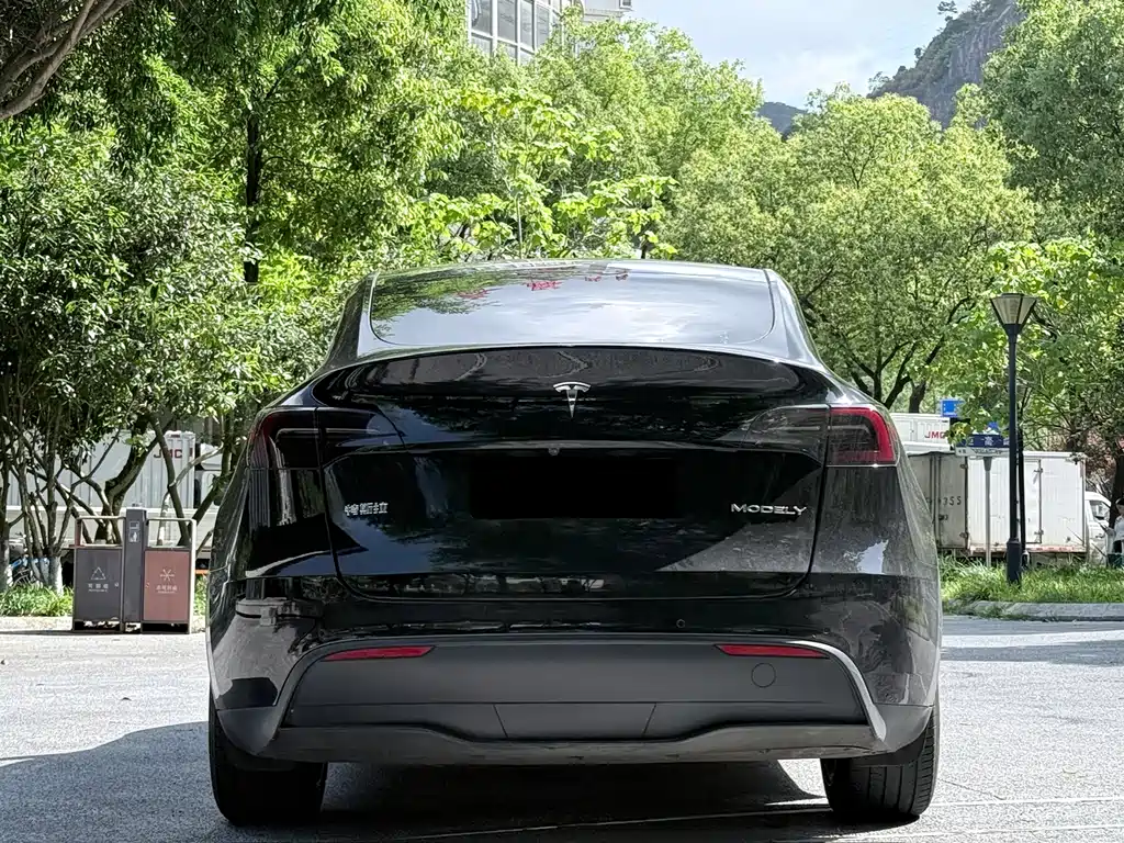 Tesla Model Y 2021 — фото 16