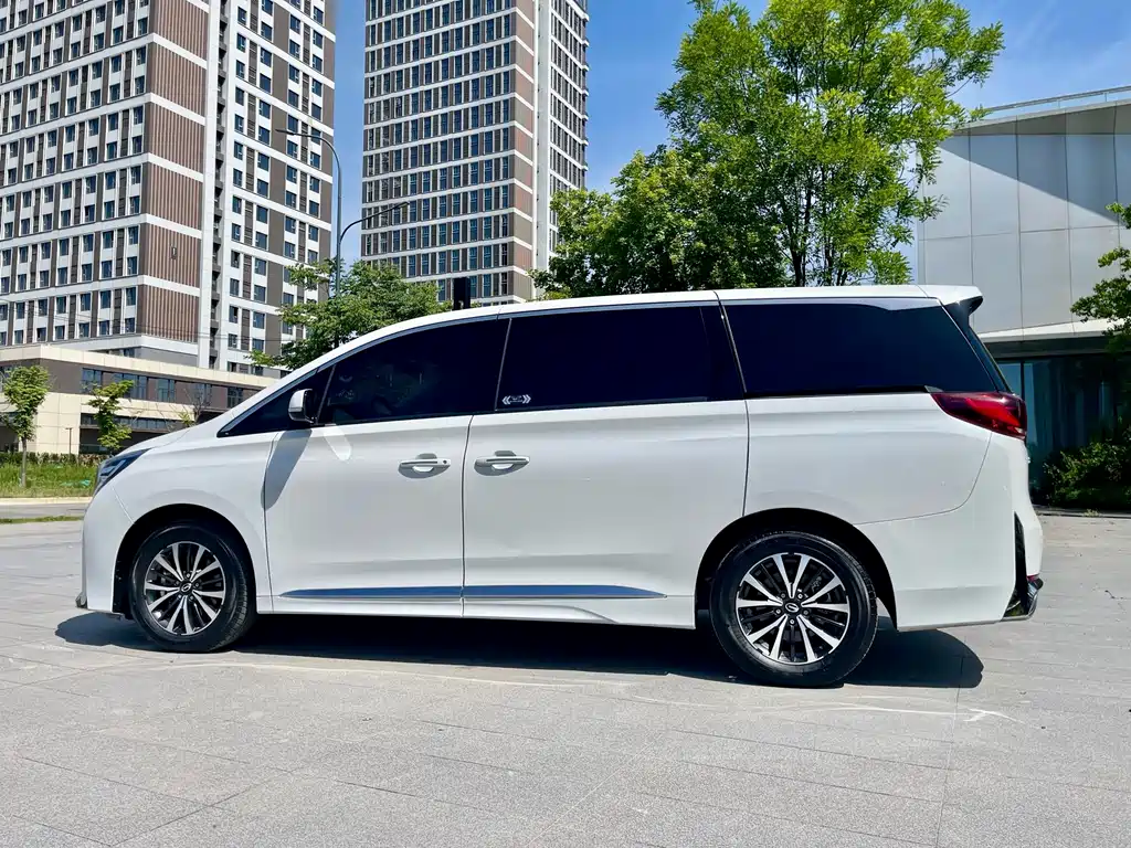 GAC Motor Trumpchi M8 2024 — фото 31