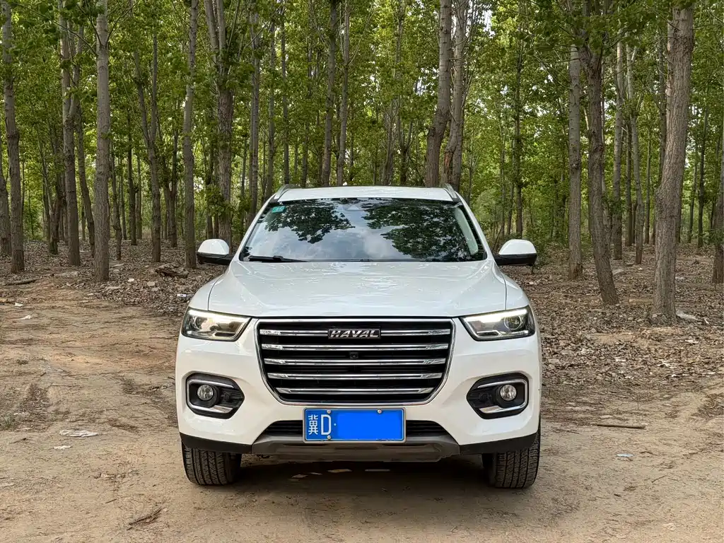 Haval H6 2020 — фото 2