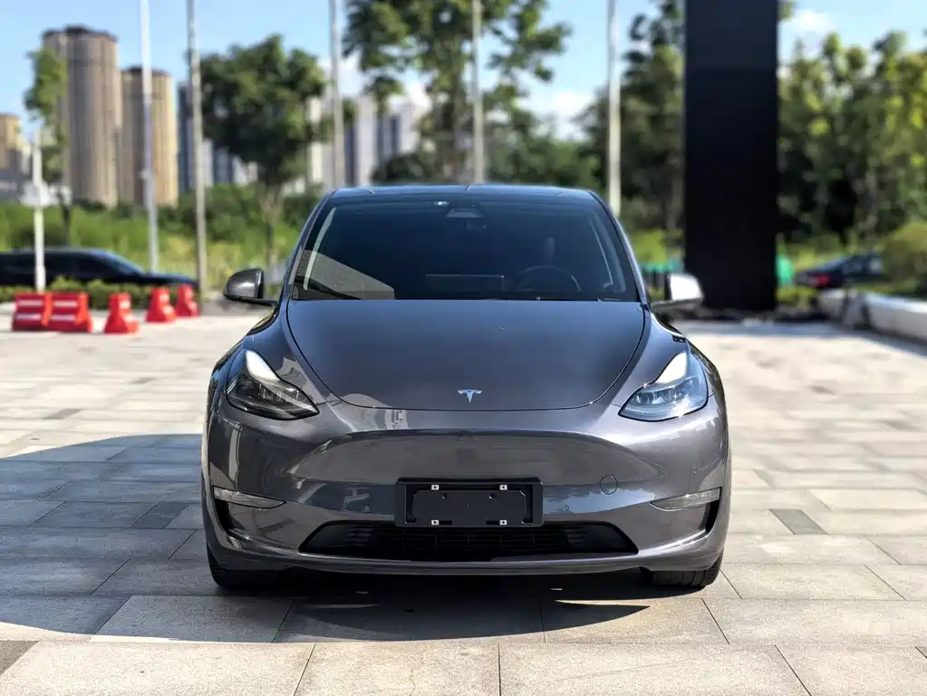 Tesla Model Y 2021 — фото 2