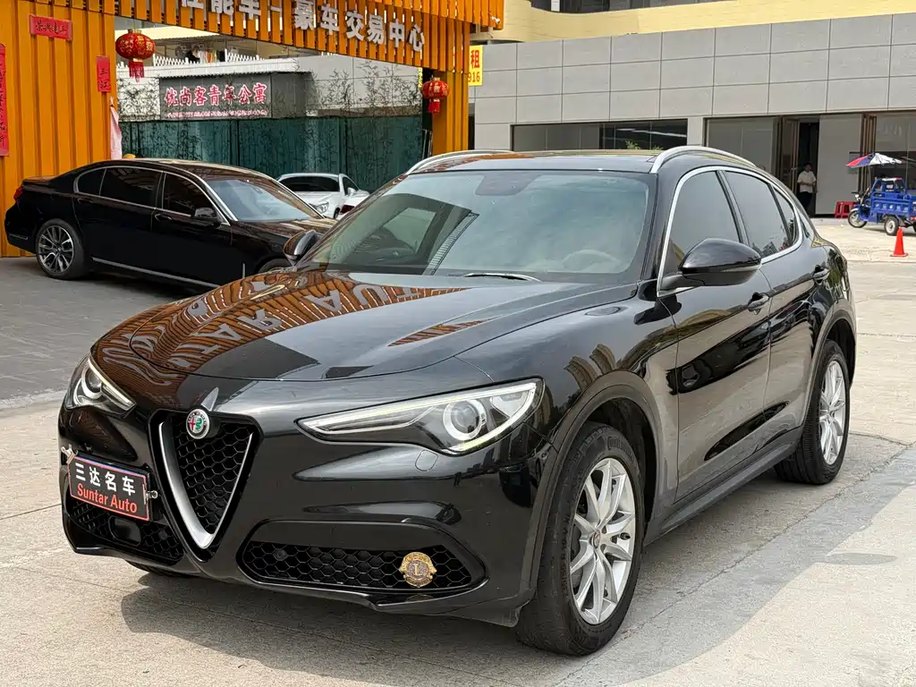 Alfa Romeo Stelvio 2019 — фото 9