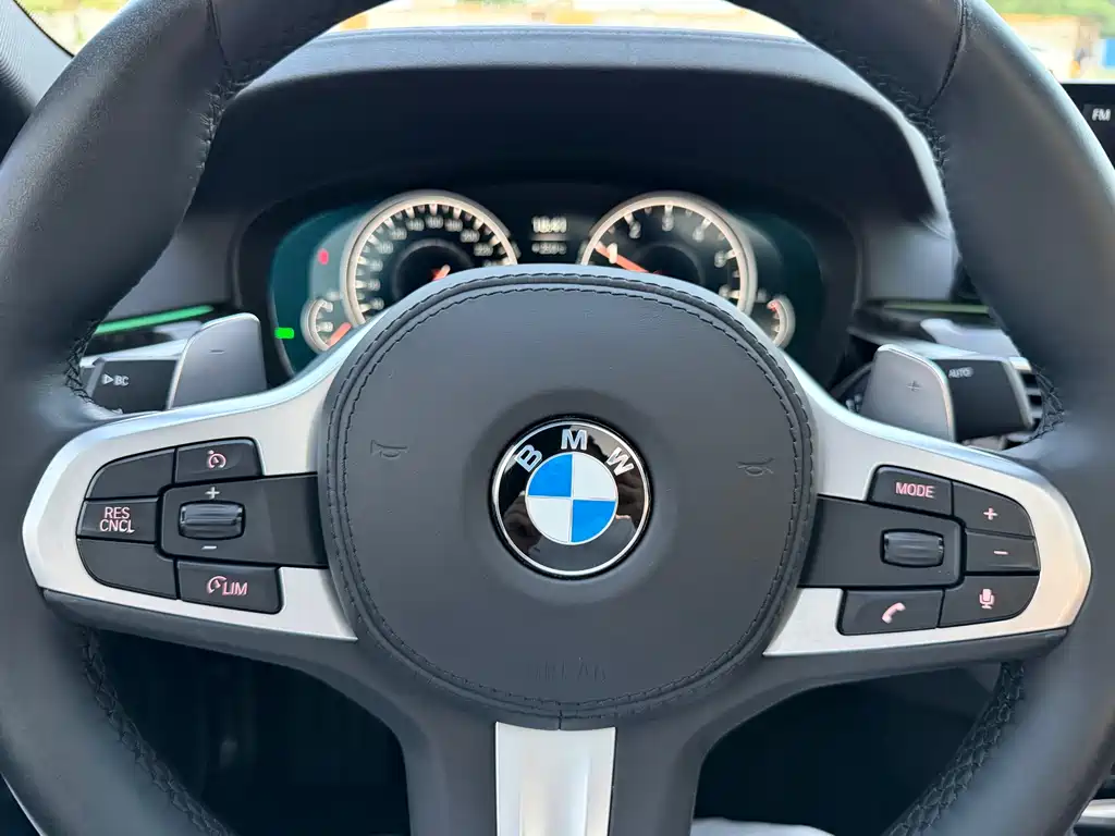BMW 5 Series 2018 — фото 13