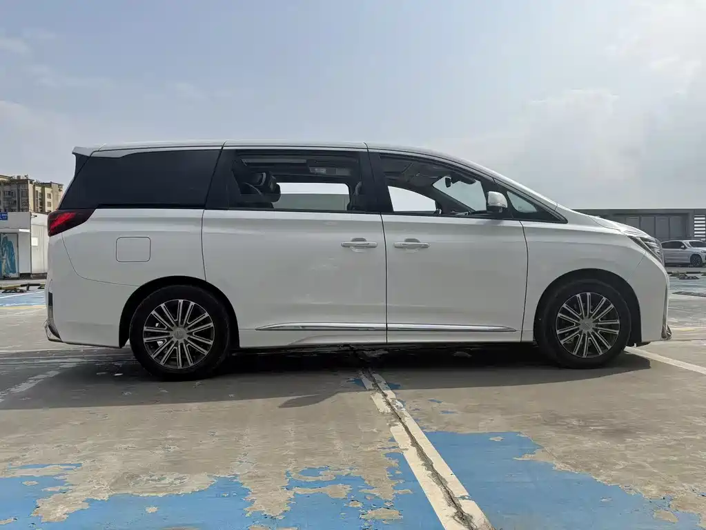 GAC Motor Trumpchi M8 2021 — фото 5