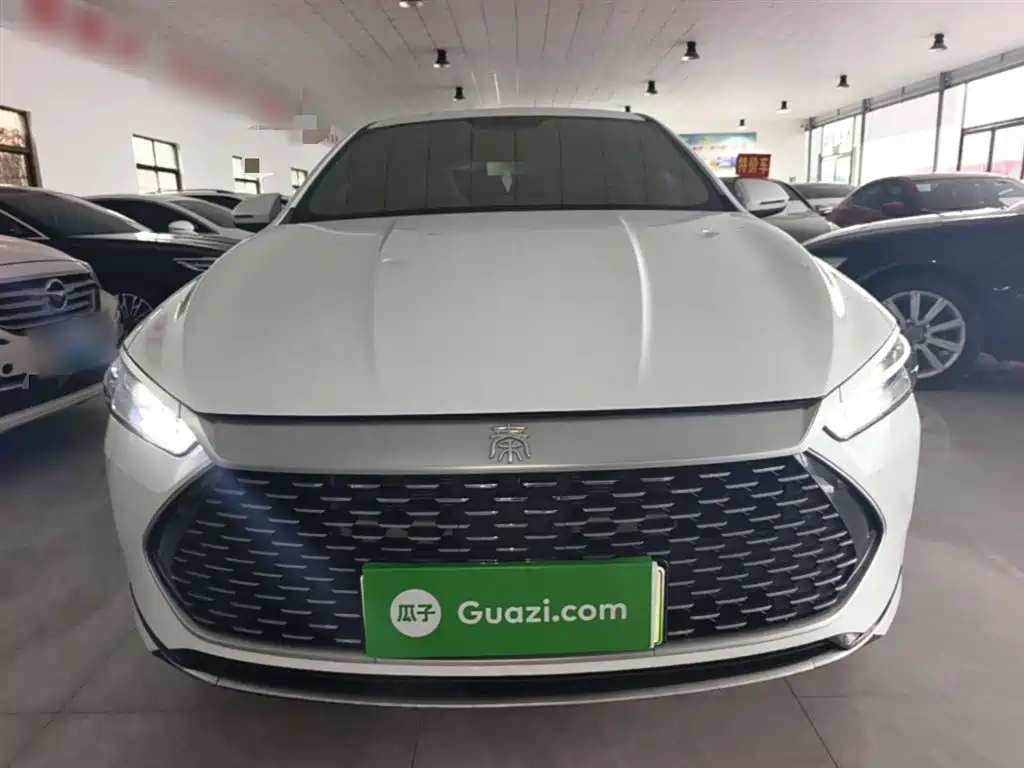 BYD Qin PLUS 2023 — фото 3