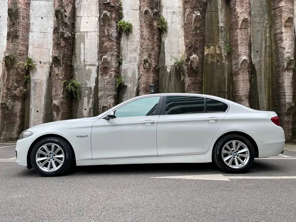 BMW 5 Series 2015 — фото 4