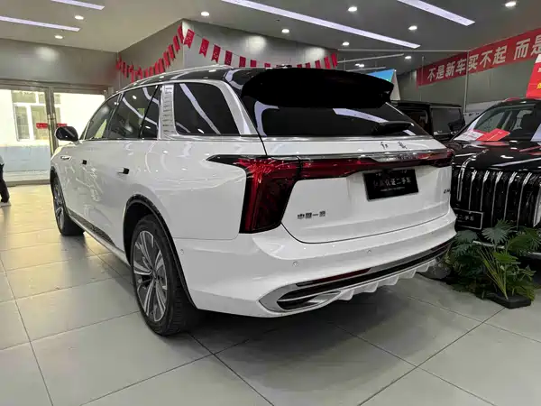 Hongqi E-HS9 2021