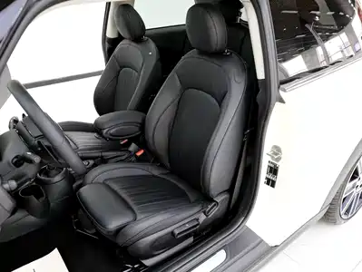 MINI MINI 2022