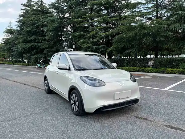 Wuling Bingo 2023