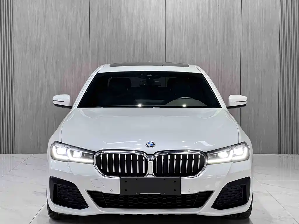 BMW 5 Series New Energy 2021 — фото 2
