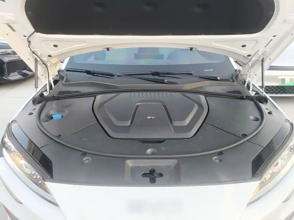 BYD Song PLUS New Energy 2025 — фото 20