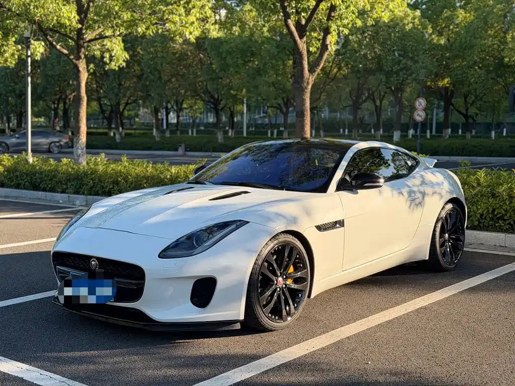 Jaguar F-TYPE 2019 — фото 1