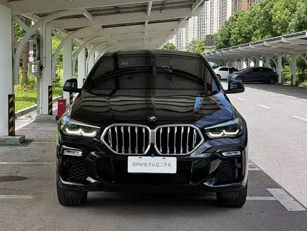 BMW X6 2020