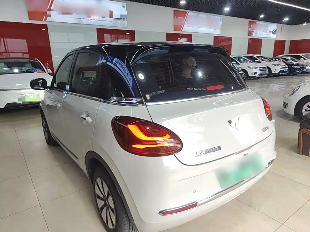 Wuling Bingo 2024