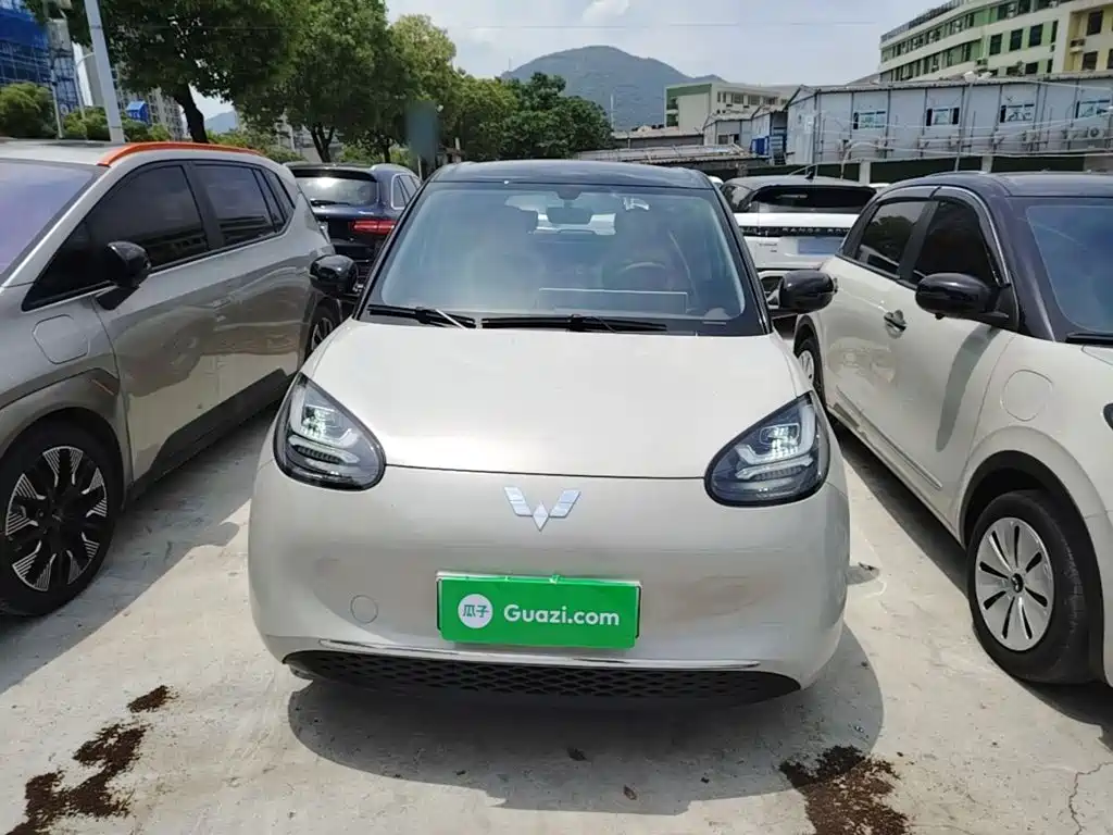 Wuling Bingo 2024